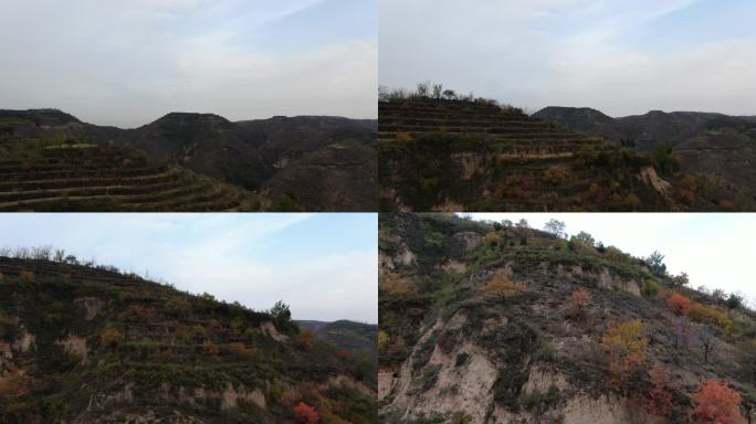 黄土山坡   梯田   沟壑