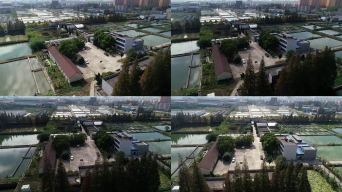 长江水产养殖环境
