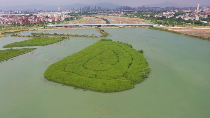 4K厦门翔安下潭尾湿地公园航拍