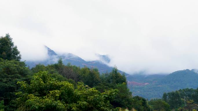 雨后山雾山谷风景延时