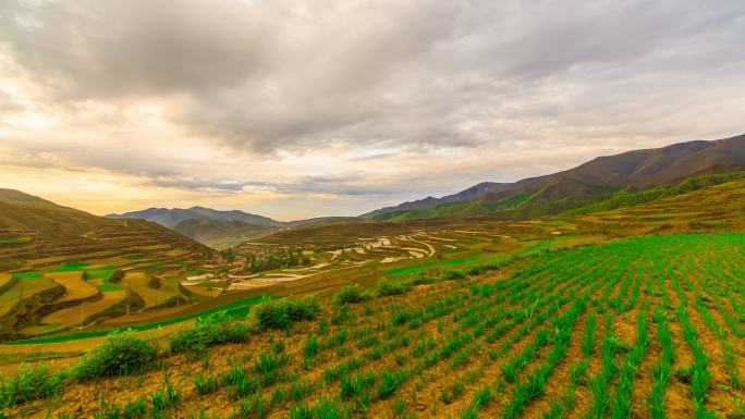 兴隆山梯田