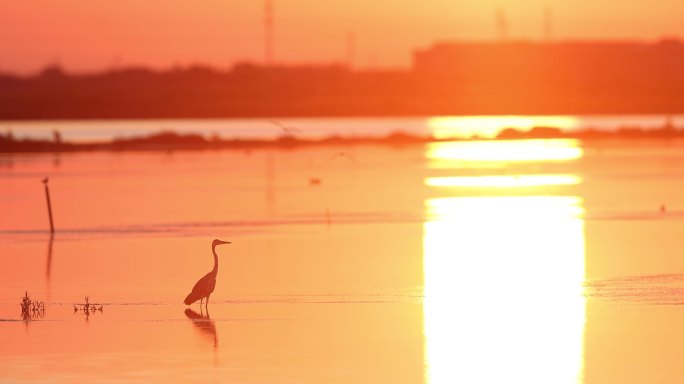 梦幻般的夕阳落日