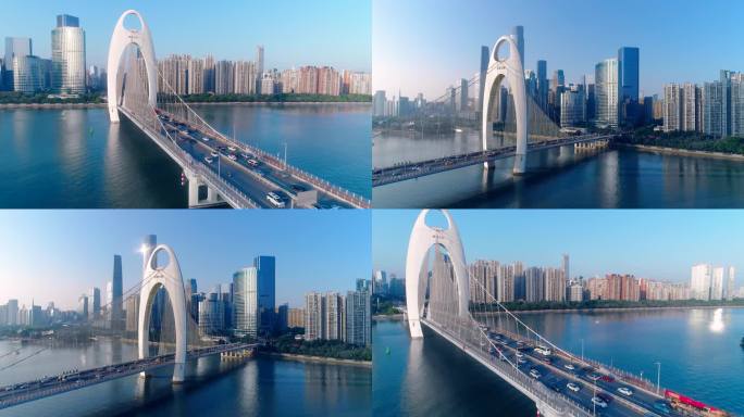 广州猎德大桥航拍4k视频素材