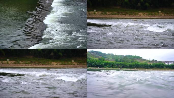 郊外小溪溪水水花水面4K素材