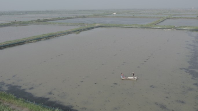 山东东营黄河入海口水产养殖基地4K航拍