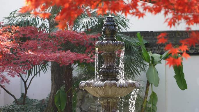 秋天喷泉水景和红叶