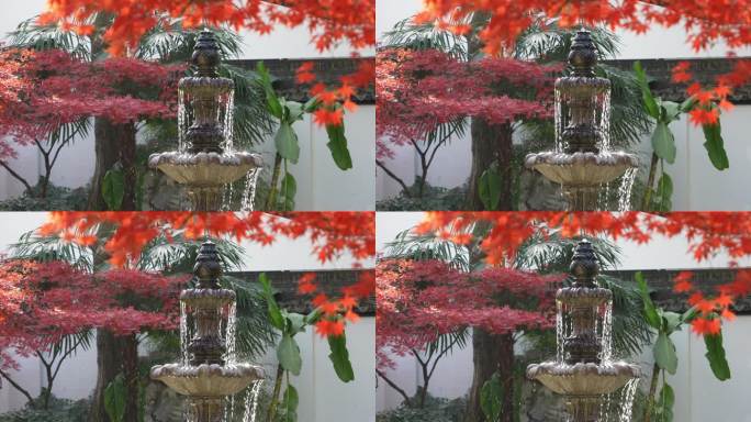 秋天喷泉水景和红叶