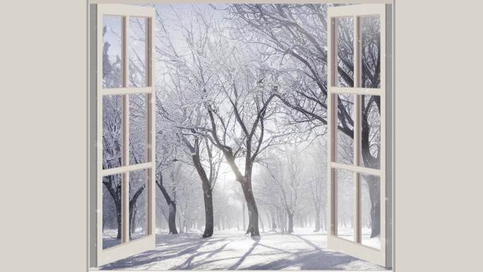 窗后冬季景观