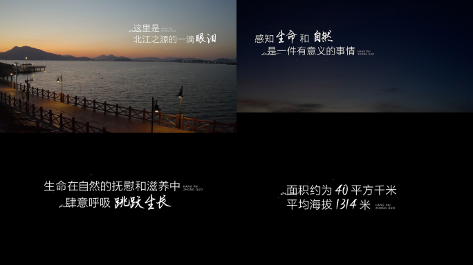 唯美综艺字幕标题文字片头 vlog字幕