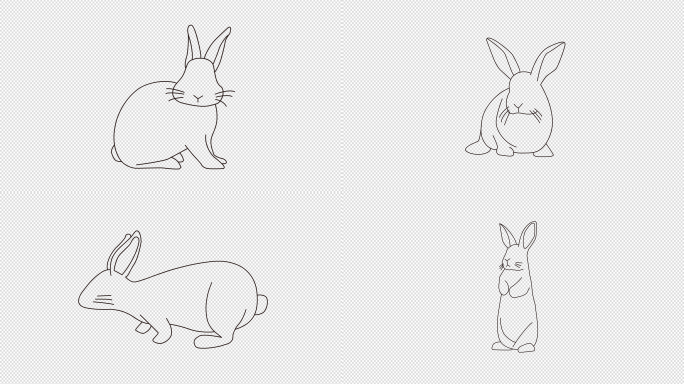 兔子手绘线框png序列
