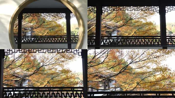 秋天红枫叶和古建筑亭子窗户