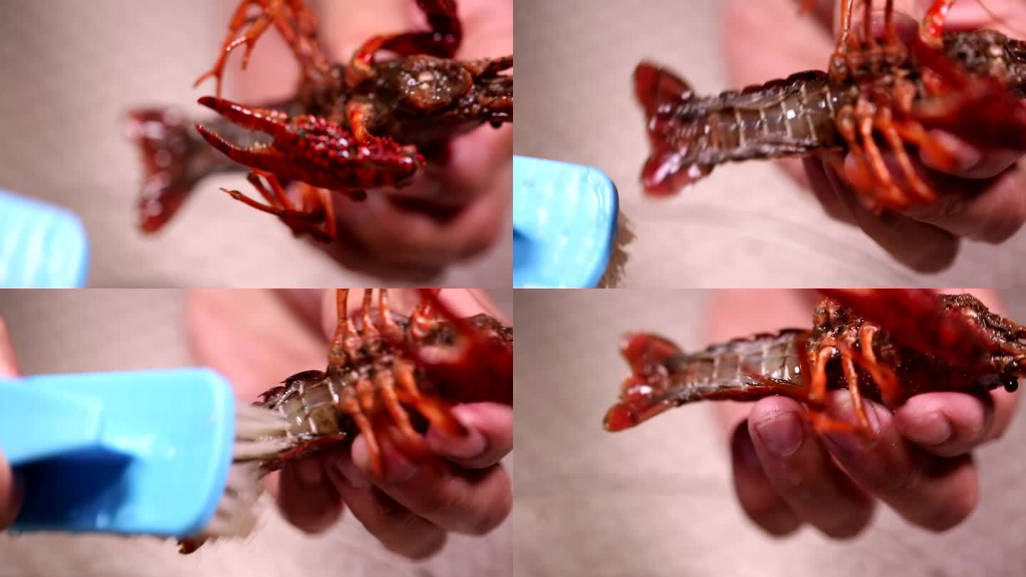 小龙虾身上的污渍刷洗小龙虾