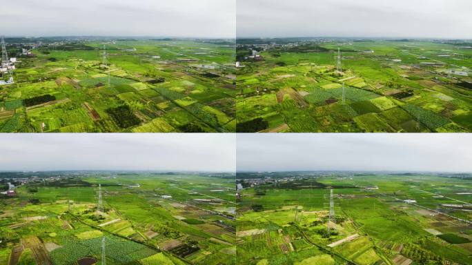 【原创】4K-航拍县城农业发展