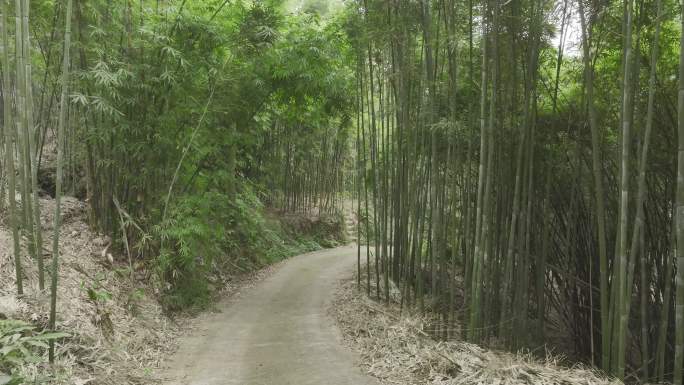 四川乐山夹江县石堰村竹林4K航拍