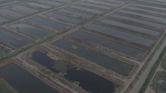 山东东营黄河入海口水产养殖基地4K航拍