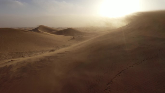 沙尘暴 防沙治沙 环境治理抗旱 荒漠化