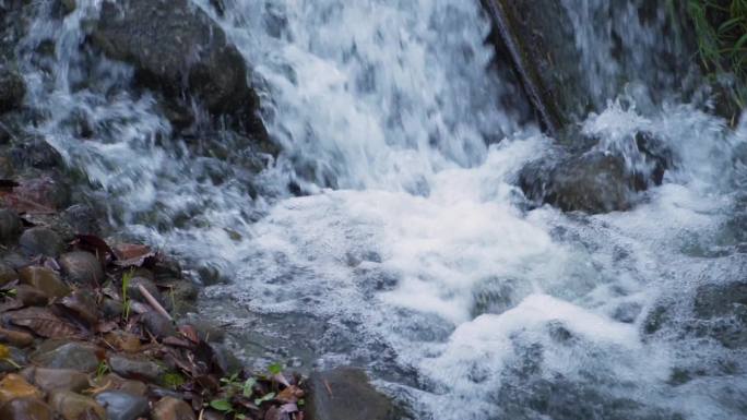 4K大自然森林溪水实拍素材