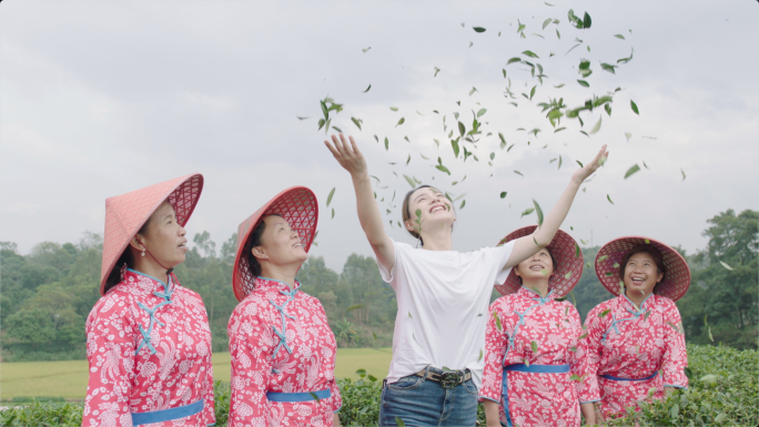 采茶女茶农茶山茶园茶叶摘茶