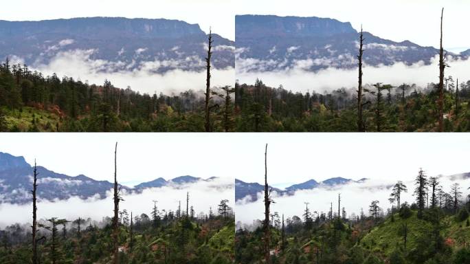 龙苍沟桌山唯美原始森林秋色