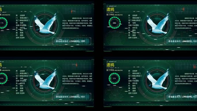 科技感产品信息介绍科技界面hud