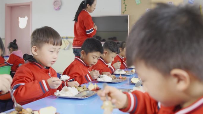 幼儿园 学前教育 幼儿园开饭 幼儿营养