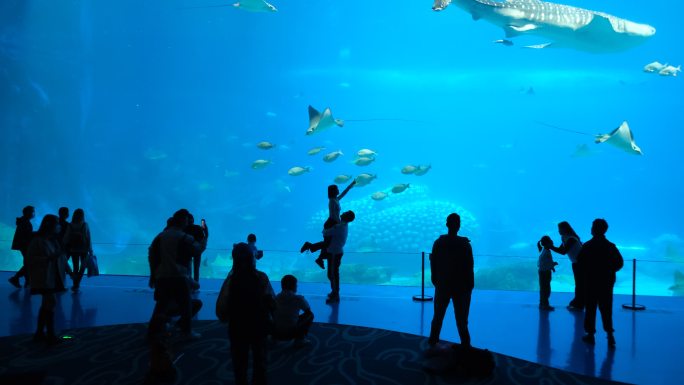 珠海长隆海洋王国海洋生物