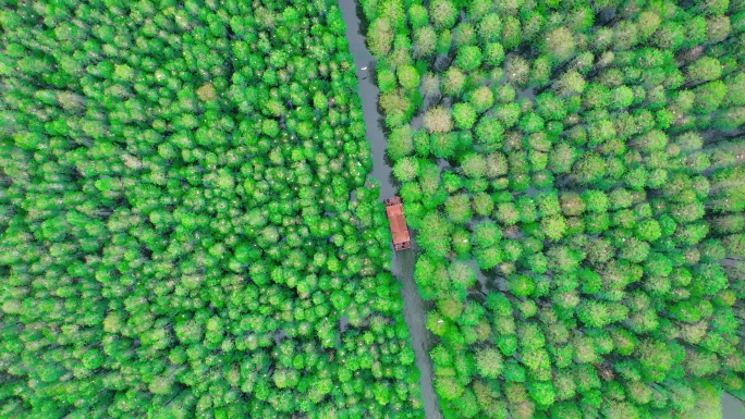 湖北仙桃梦里水乡航拍，梦里水乡风景素材