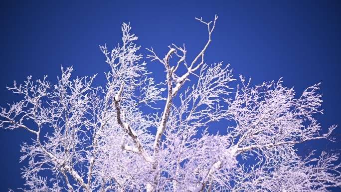 长白山雪岭雾凇