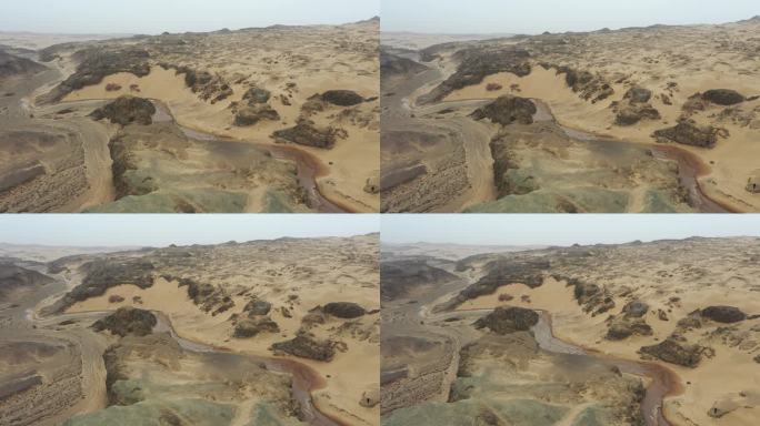 荒漠戈壁水源地防沙治沙 环境治理抗旱