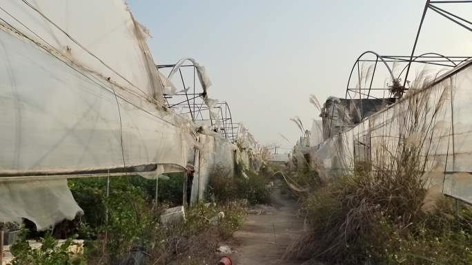 狂风推毁大栅屋台风来袭破坏植物园房子