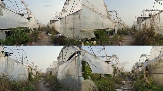 狂风推毁大栅屋台风来袭破坏植物园房子