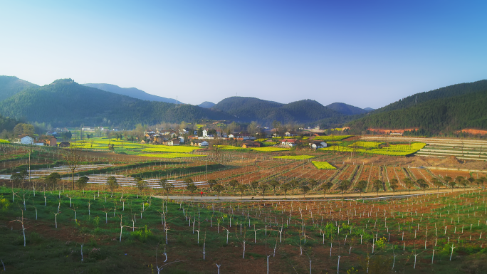 美丽乡村合集人文田园风光民俗风景