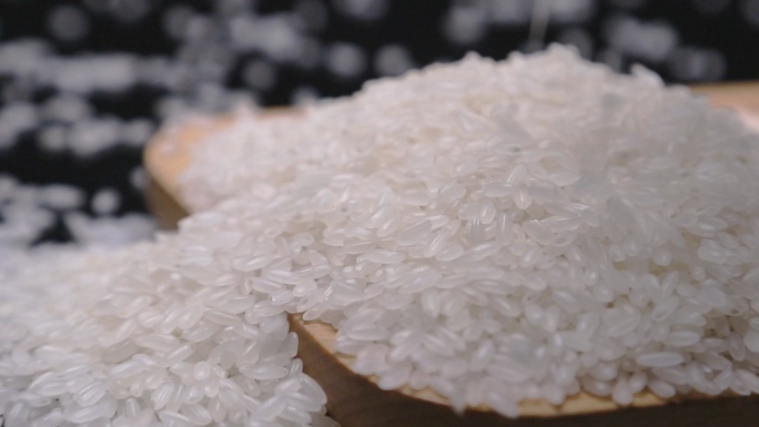 五常大米水稻米饭香米
