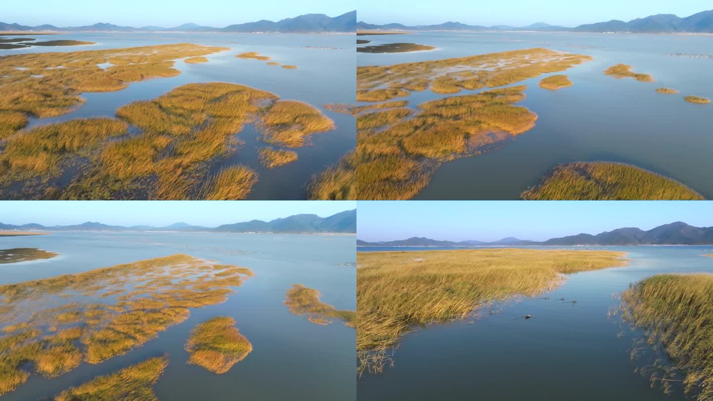 滩涂 湿地 自然风光 沿海