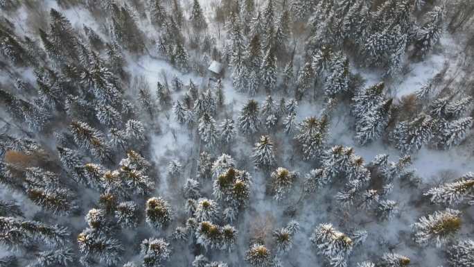 航拍中国雪乡双峰林场林海雪原