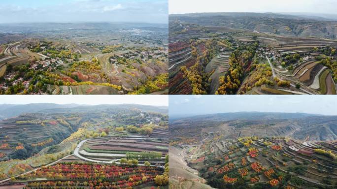 贡马村道路硬化生态建设