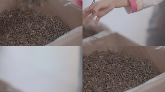 普洱茶 茶厂生产线 茶艺 合集