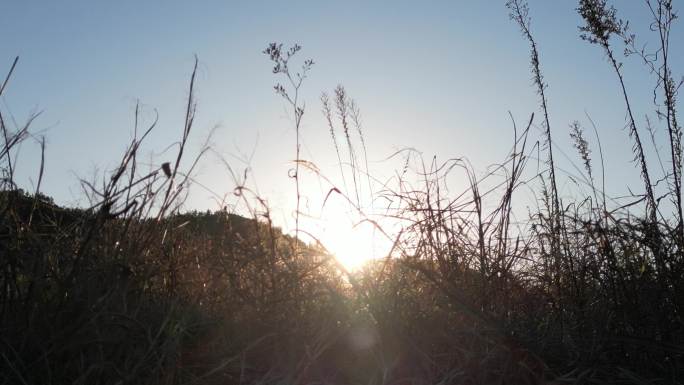 户外徒步的人经过草地夕阳剪影