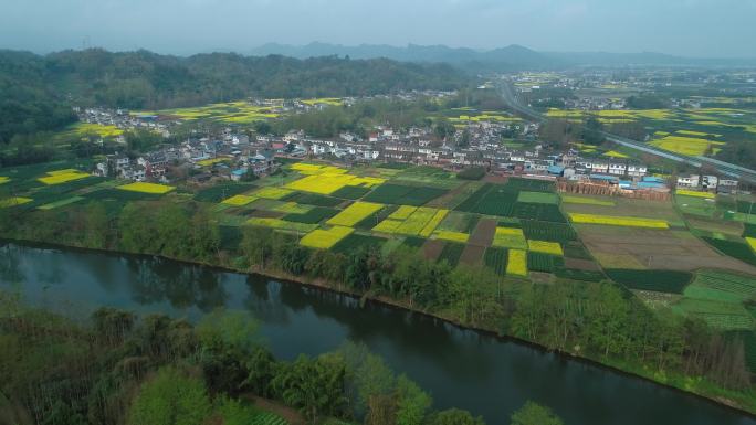 美丽江南村庄风景小河田野春光明媚油菜花开