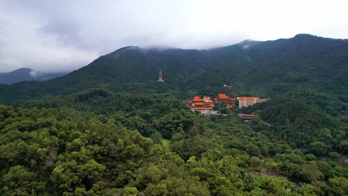 4K深圳仙湖植物园