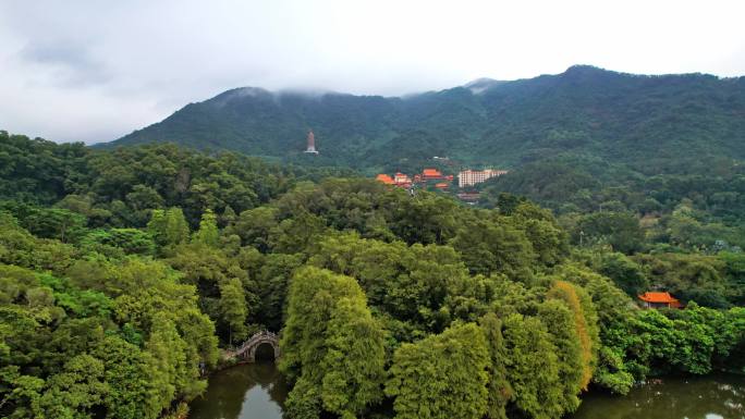 4K深圳仙湖植物园