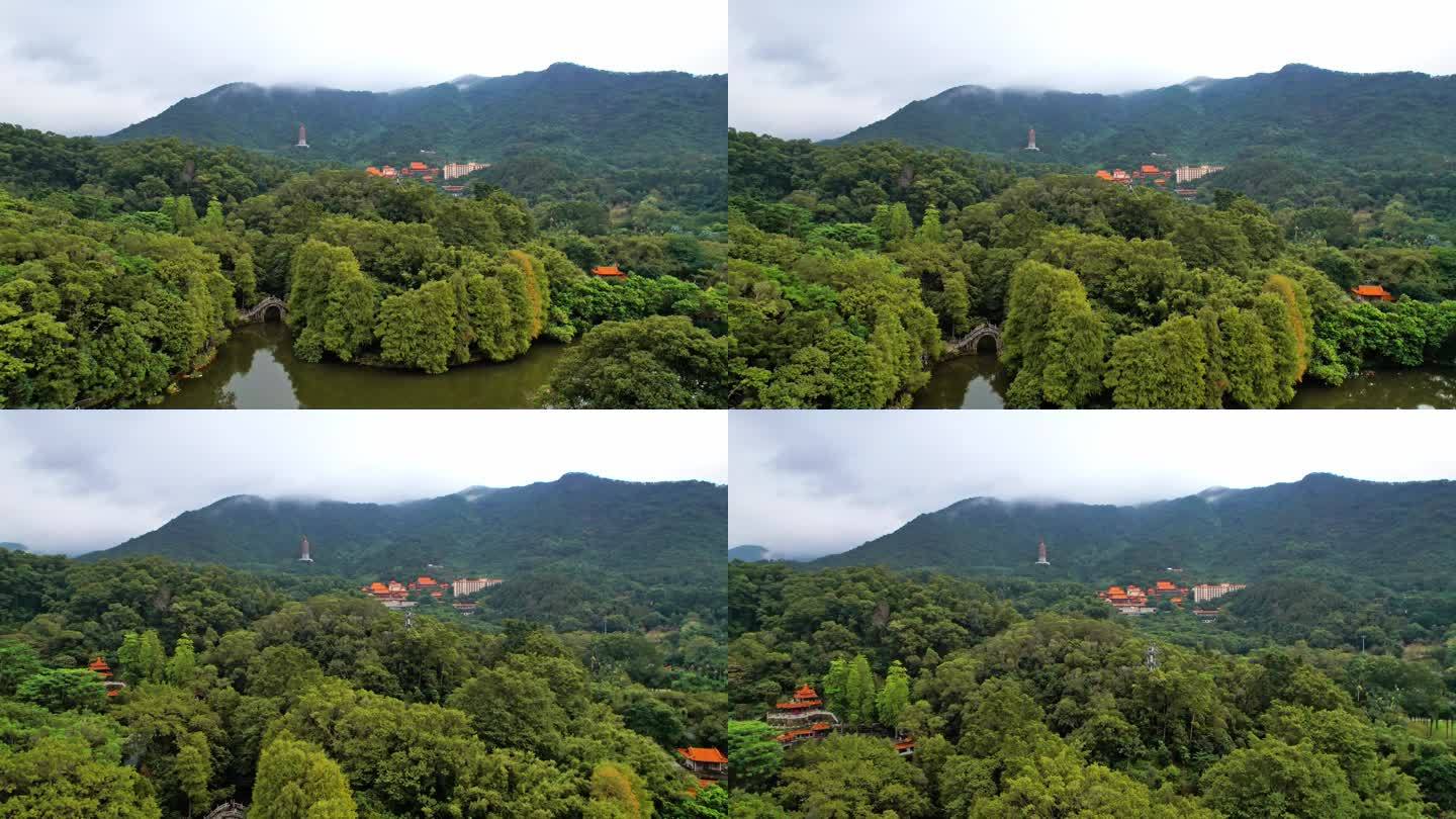 4K深圳仙湖植物园