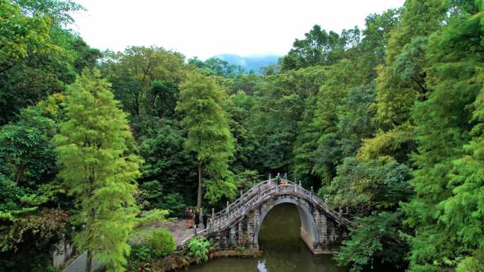 4K深圳仙湖植物园