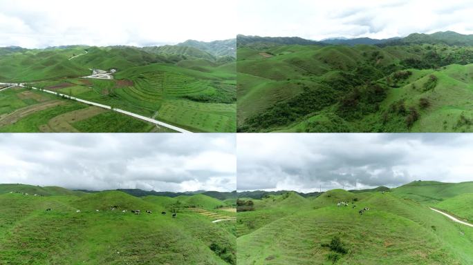 航拍邵阳城步县南山牧场2