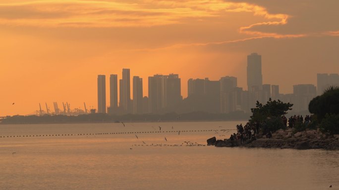 城市深圳湾公园日落