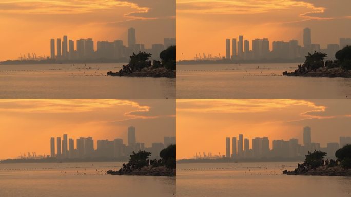 城市深圳湾公园日落