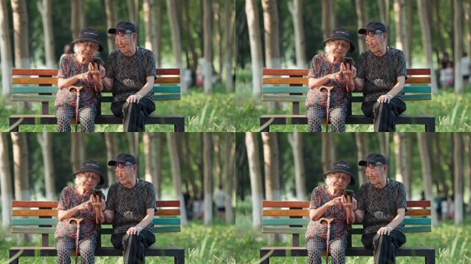 老人幸福的老年夫妇在公园一起看手机聊天