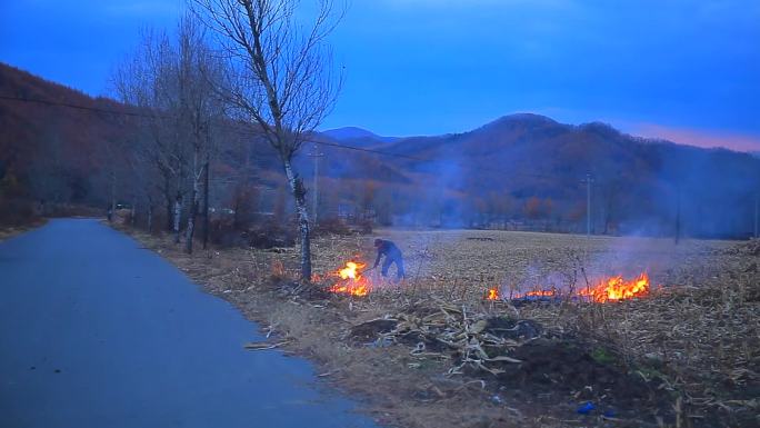 实拍农民烧荒烧秸秆草木灰