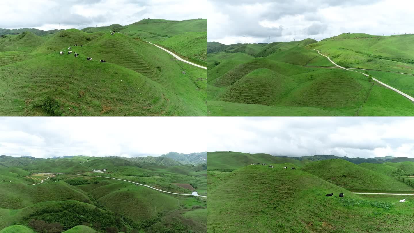 航拍邵阳城步县南山牧场合集