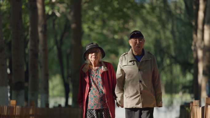 老人幸福的老年夫妇在公园里散步